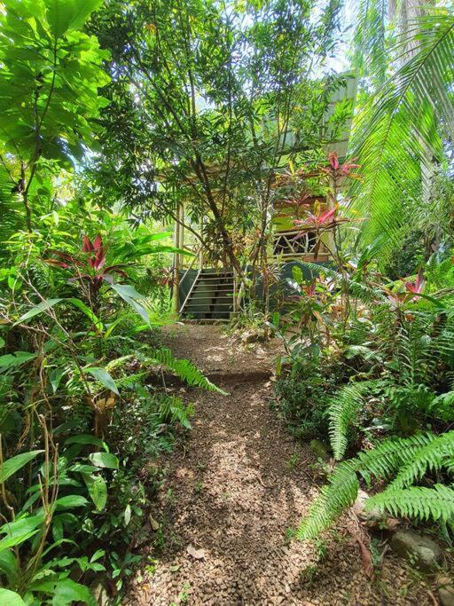 Cabina Gan Eden - Walking Distance From River Portalon Ngoại thất bức ảnh